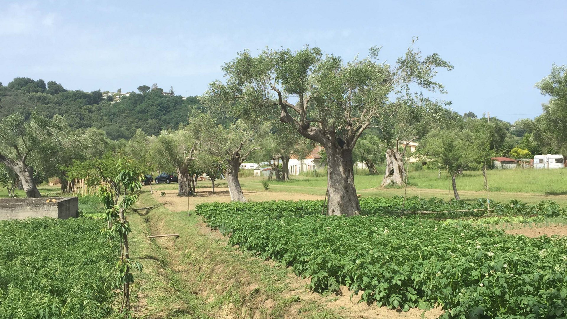 Hotel a 4 stelle nel Cilento, terra di antichi sapori Hotel a 4 stelle nel Cilento, terra di antichi sapori