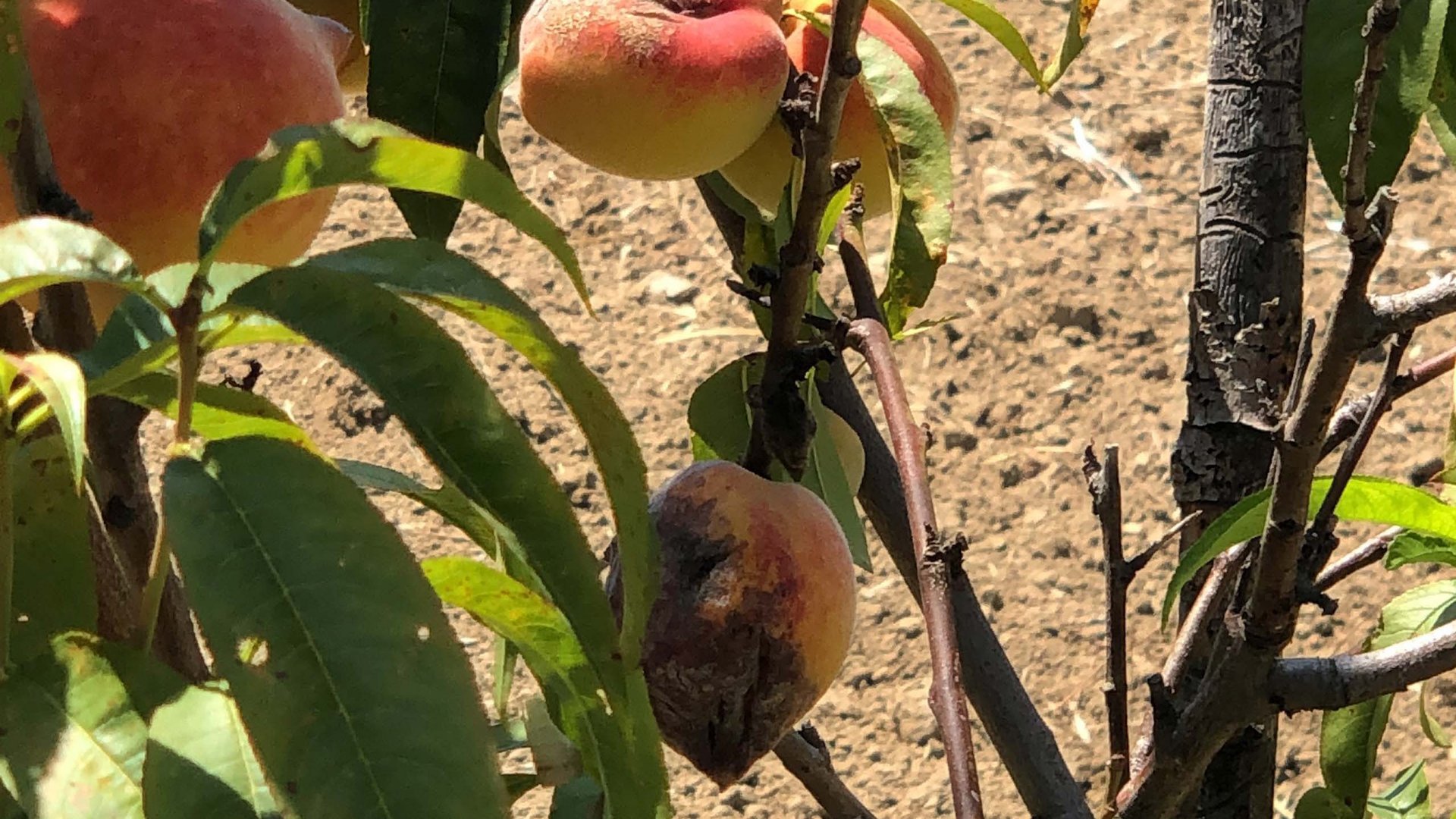 Hotel a 4 stelle nel Cilento, terra di antichi sapori Hotel a 4 stelle nel Cilento, terra di antichi sapori