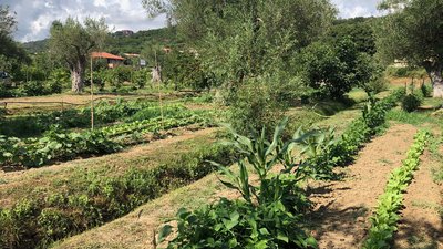 4-star hotel in Cilento, a land of ancient flavours 4-star hotel in Cilento, a land of ancient flavours